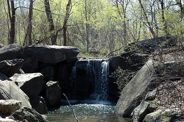 Central Park 071.JPG